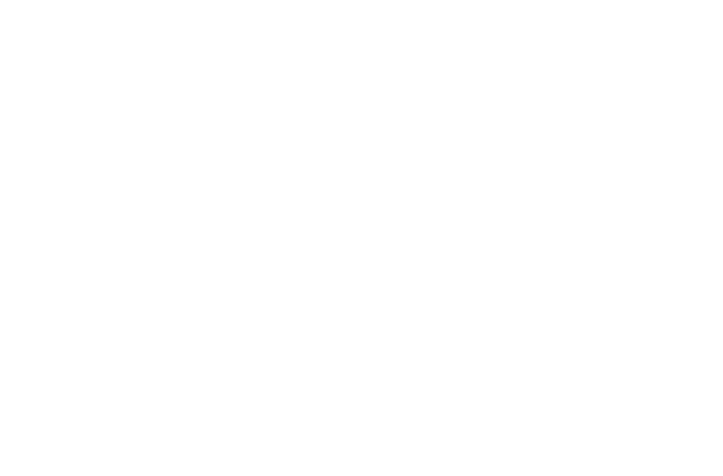 Apex Project